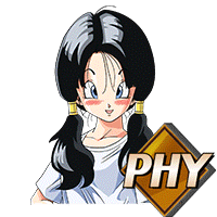 Videl [PHY]