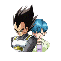 夫婦の絆
ベジータ&ブルマ