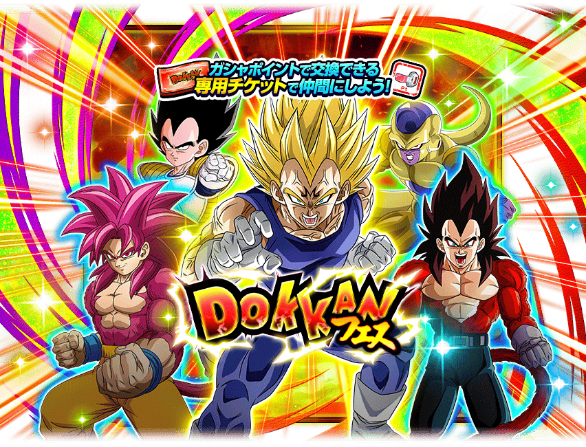 DOKKANフェス
[ポイントチケット]