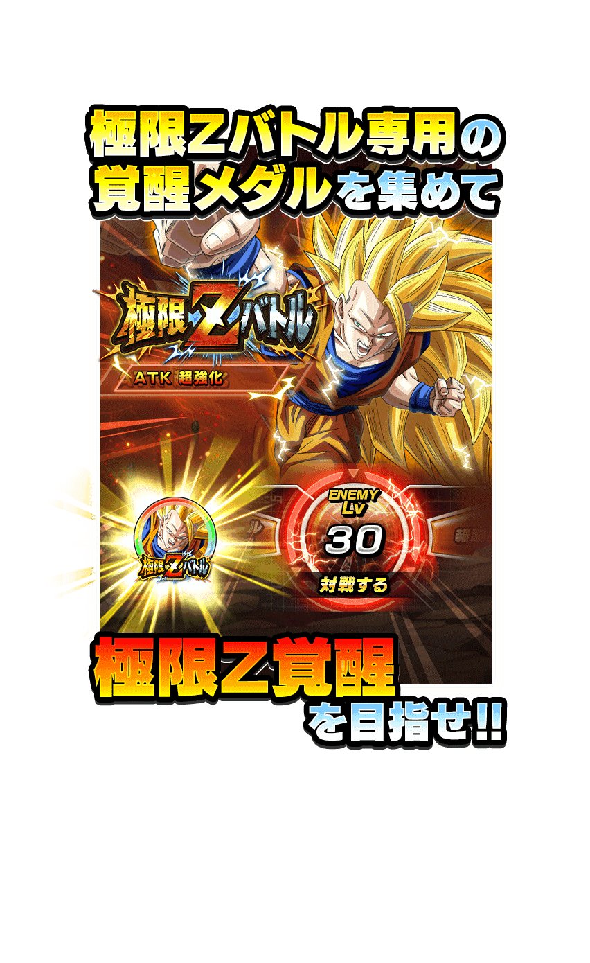 極限Zバトルとは？